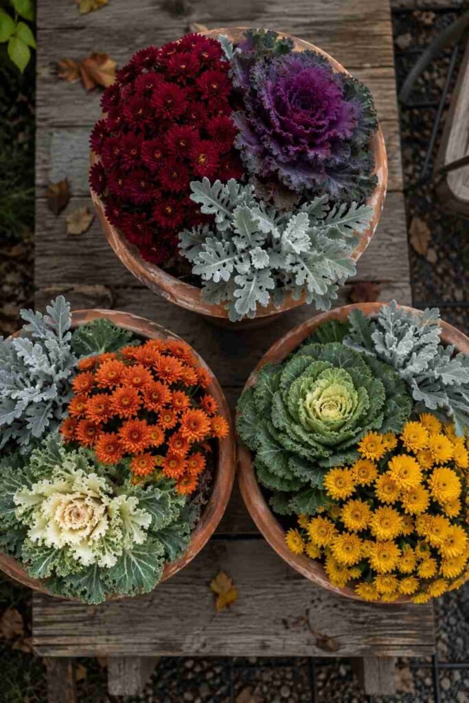Halloween Planter Ideas to Turn Your Porch Into a Neighborhood Showstopper 4 Cold-hardy plants used in outdoor Halloween planters