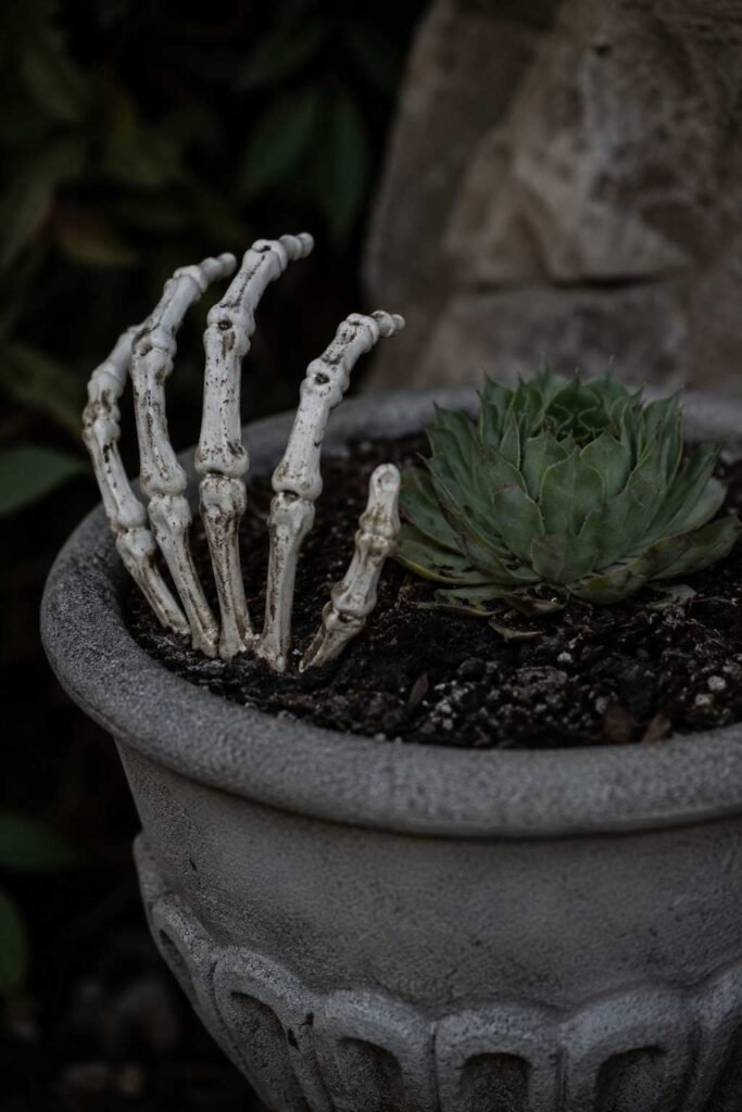 Halloween Planter Ideas to Turn Your Porch Into a Neighborhood Showstopper 8 Skeleton hand rising from a Halloween planter